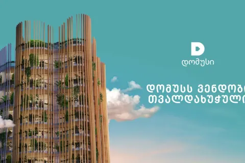 Domus Development