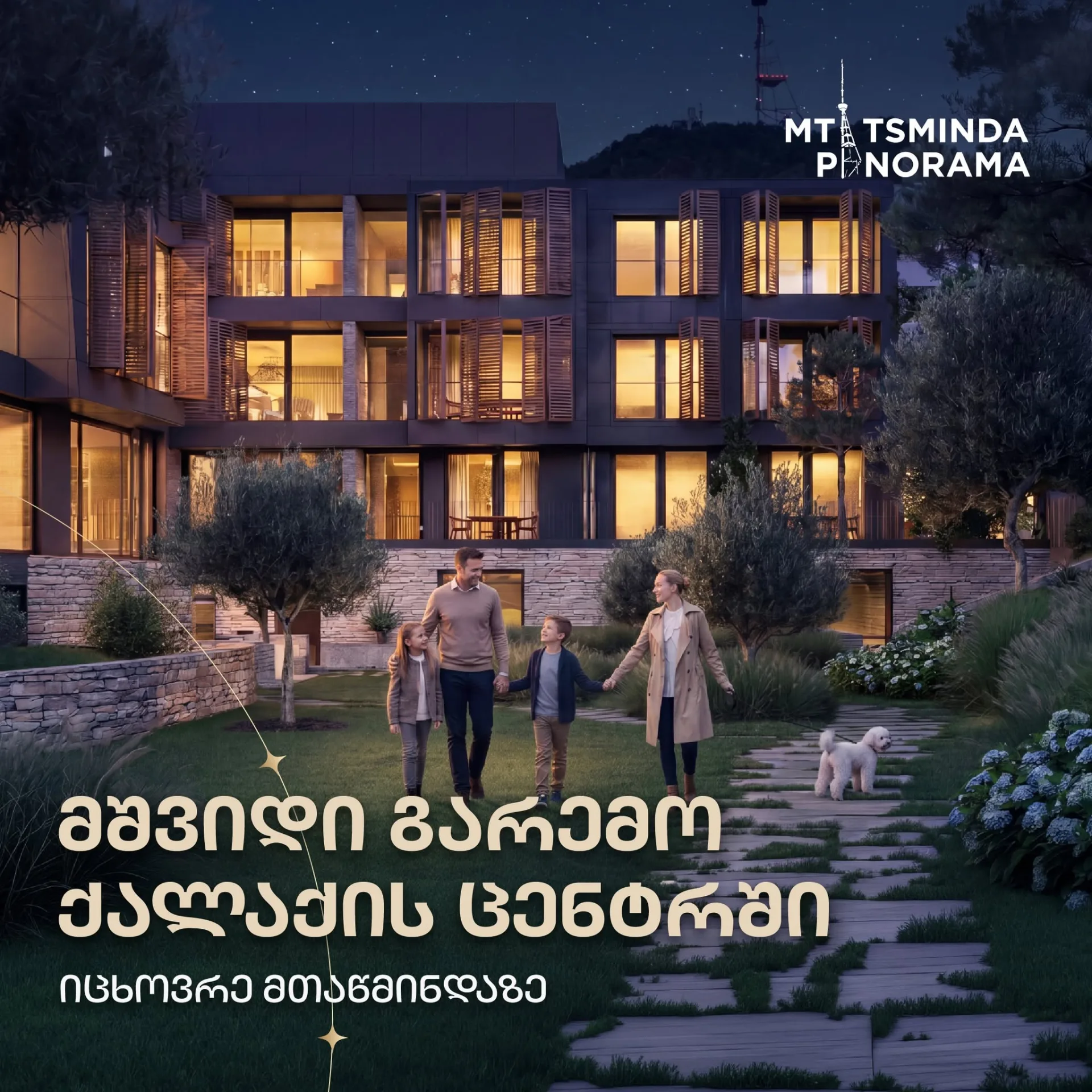 მთაწმინდა პანორამა