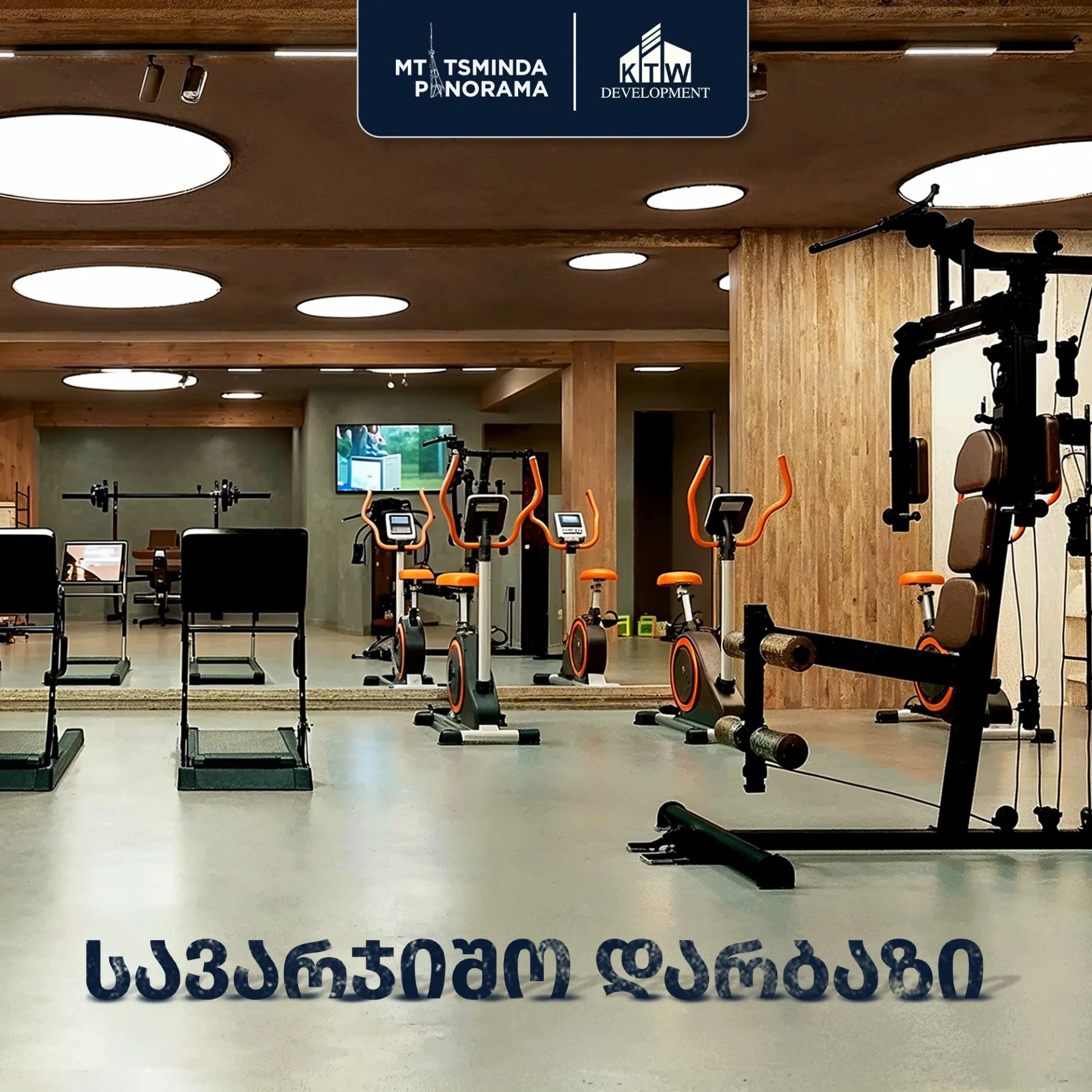 მთაწმინდა პანორამა