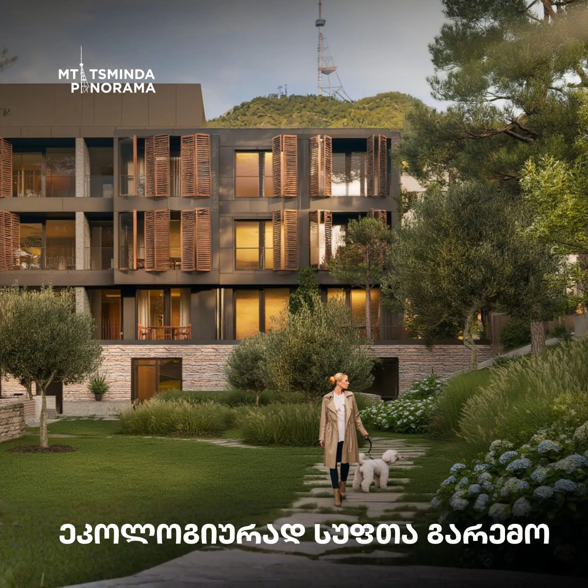 მთაწმინდა პანორამა