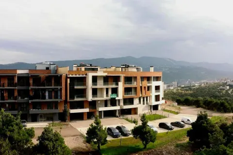ლისი თაუნჰაუსი 1, 2