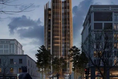 Domus Trees