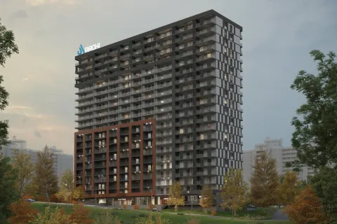 არქი ნუცუბიძე 2