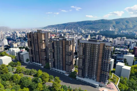 აპექს ნუცუბიძე